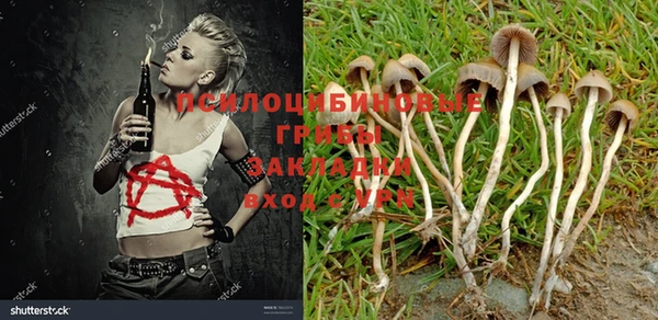 a pvp Балабаново
