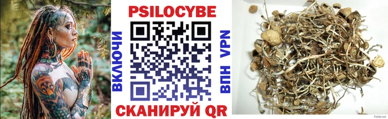 Галлюциногенные грибы Psilocybe  купить закладку  Калуга 