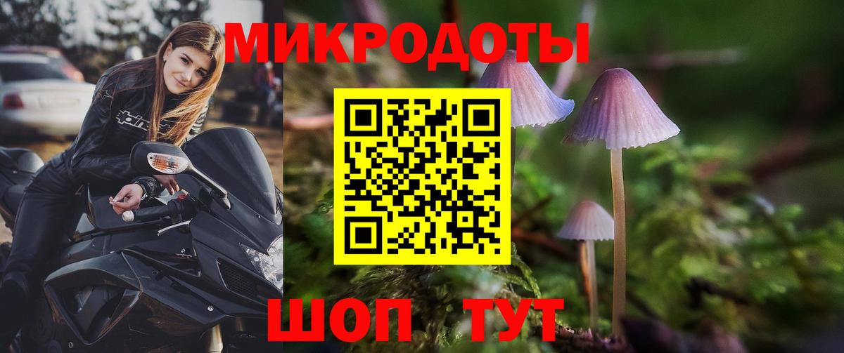 Галлюциногенные грибы мицелий  Псилоцибиновые грибы MAGIC MUSHROOMS  Вход с VPN  Калуга 