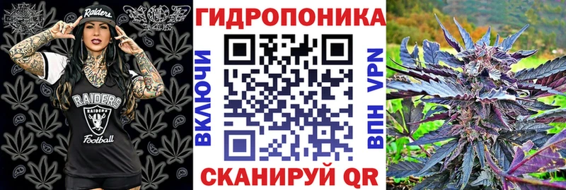 OMG как войти  darknet телеграм  Калуга  Шишки марихуана тримм  где найти  